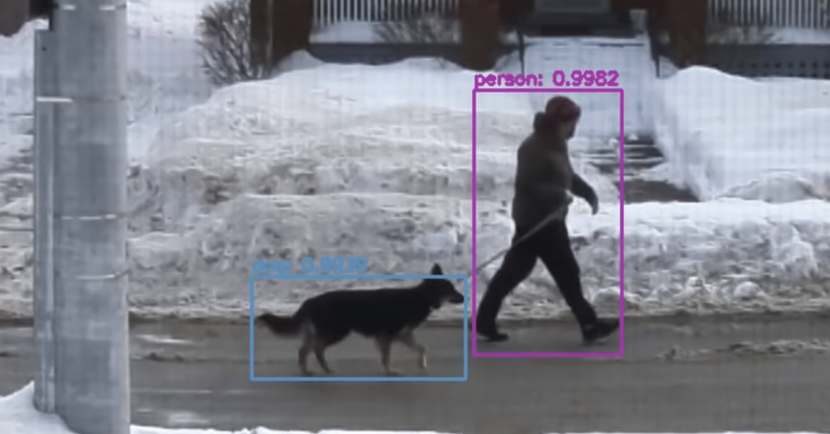 Youtuber cria dispositivo com Inteligência Artificial capaz de identificar e elogiar cachorros